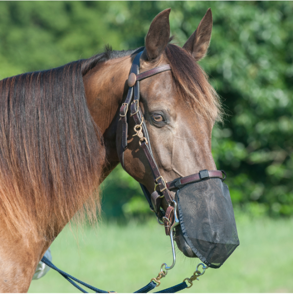 Cashel Quiet Ride Nose Net - Image 3