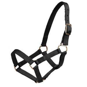 Piccolo Mini Horse Halter