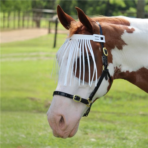 PVC Browband Fly Screen - Image 2
