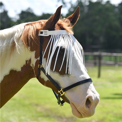PVC Browband Fly Screen - Image 3