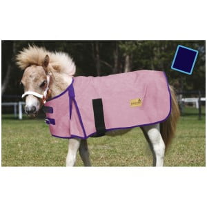 Mini Horse and Pony Products