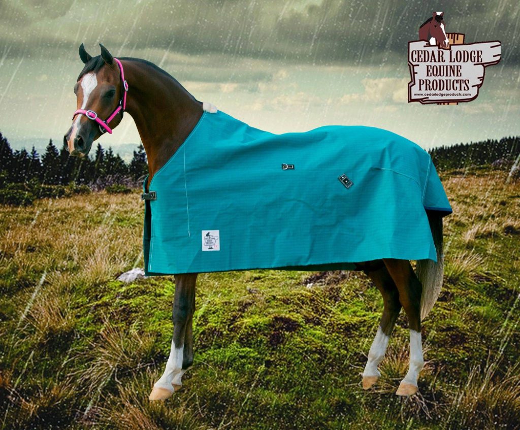 Cedar Lodge Budget Unlined Canvas Rugs (selection with gussets) in