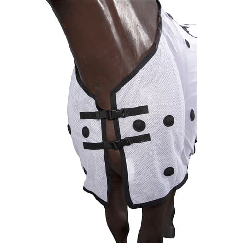 GG Australia Magnetic Therapy Horse Rug - ordered in product - Image 2
