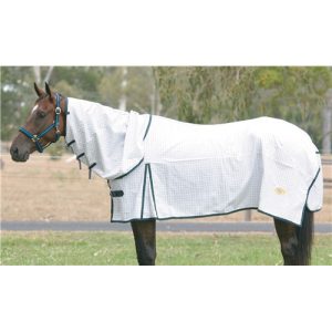GG Australia Tear-Stop Combo - White w/Navy ~ in stock