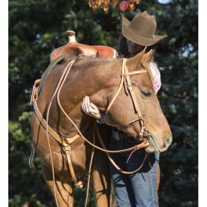 Weaver Turquoise Cross Browband Headstall - Russet