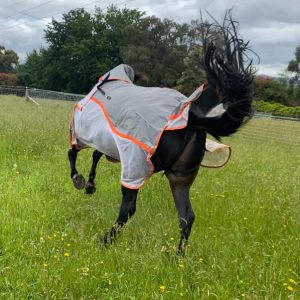 Horse Rugs & Accessories