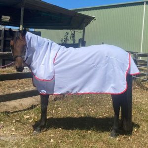 Cedar Lodge Flag Combo (165gm 100% polyester) ~ in stock