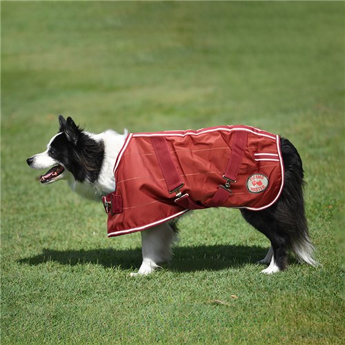 Thermo Master Supreme Dog Coat - Cherry Hi-Vis
