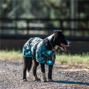 Thermo Master Supreme Dog Coat - Aztec/Turquoise