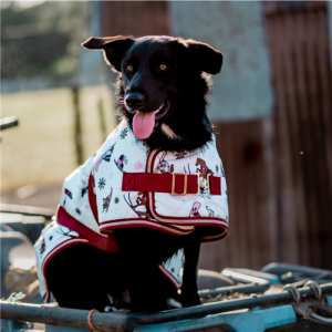 Thermo Master Supreme Dog Coat - Ski Slopes